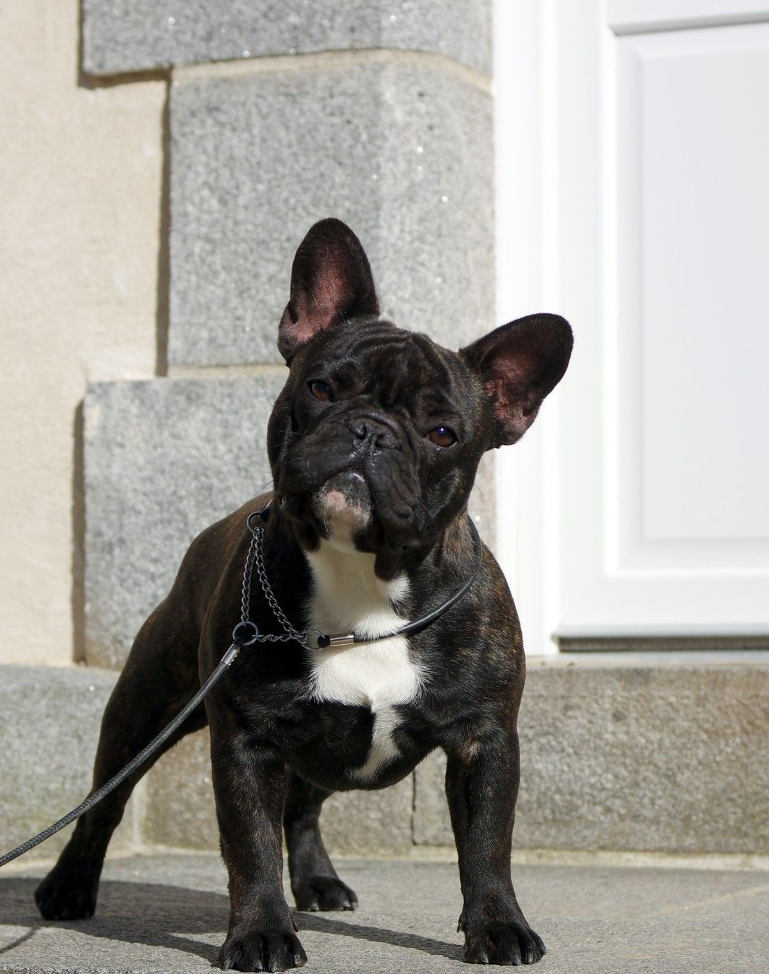 darclee Mancera black anatole